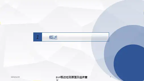 BNP概述检测原理及临床意义培训课件