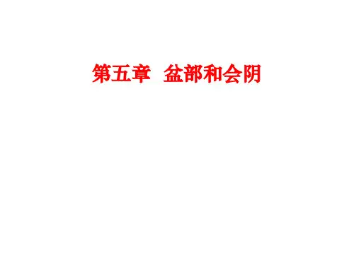 局部解剖学(盆部和会阴)精品PPT课件