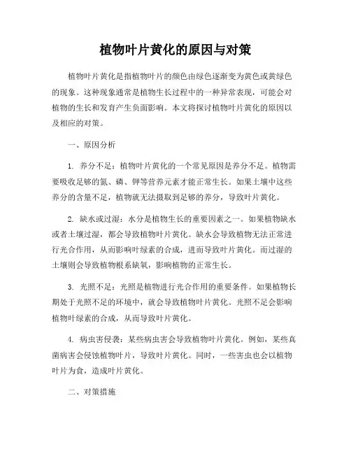 植物叶片黄化的原因与对策