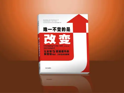 白象方便面品牌战略规划四部曲之(1)
