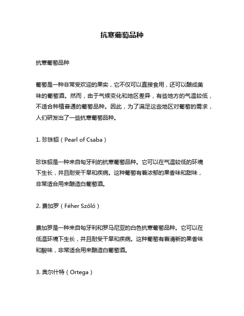 抗寒葡萄品种