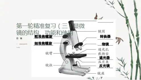 2024年初中生物中考一轮精准复习(三)显微镜的结构、功能和使用