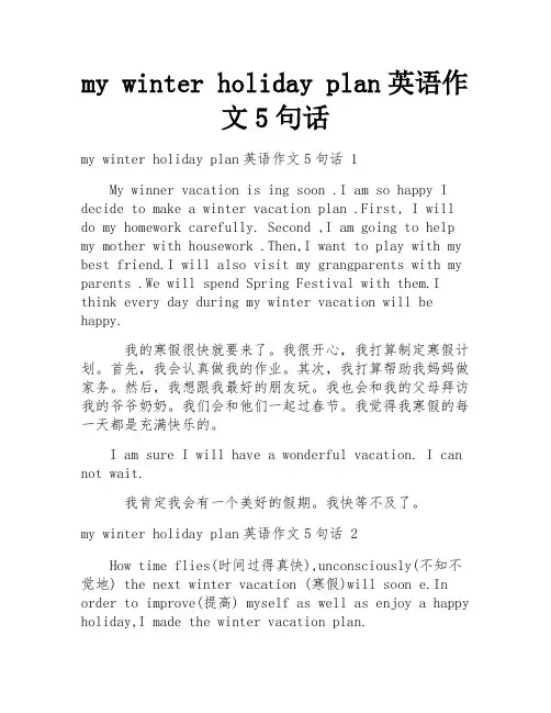 my winter holiday plan英语作文5句话