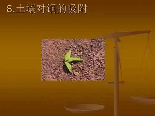 土壤对铜的吸附PPS