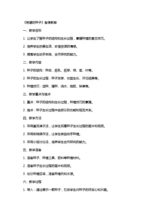 《希望的种子》备课教案