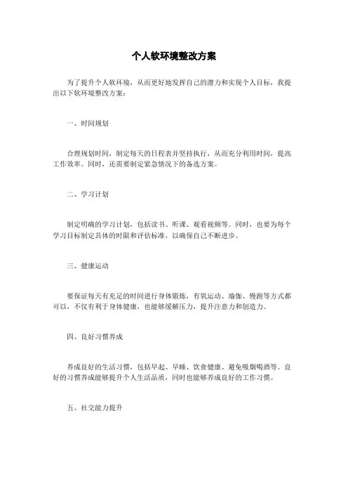 个人软环境整改方案