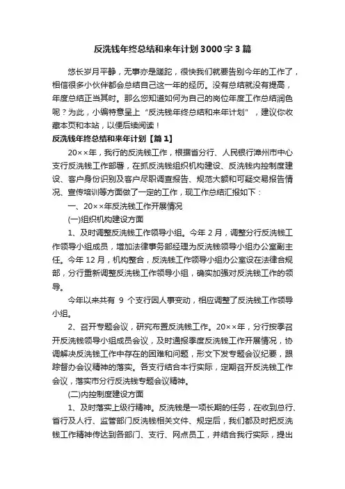 反洗钱年终总结和来年计划3000字3篇