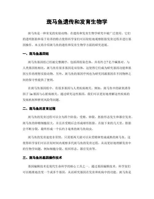 斑马鱼遗传和发育生物学