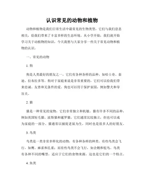 认识常见的动物和植物