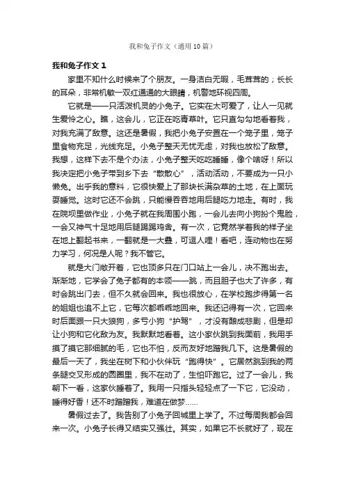 我和兔子作文（通用10篇）