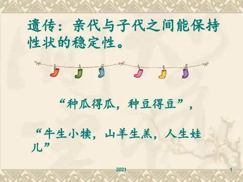 孟德尔杂交试验(一)PPT课件【可修改文字】