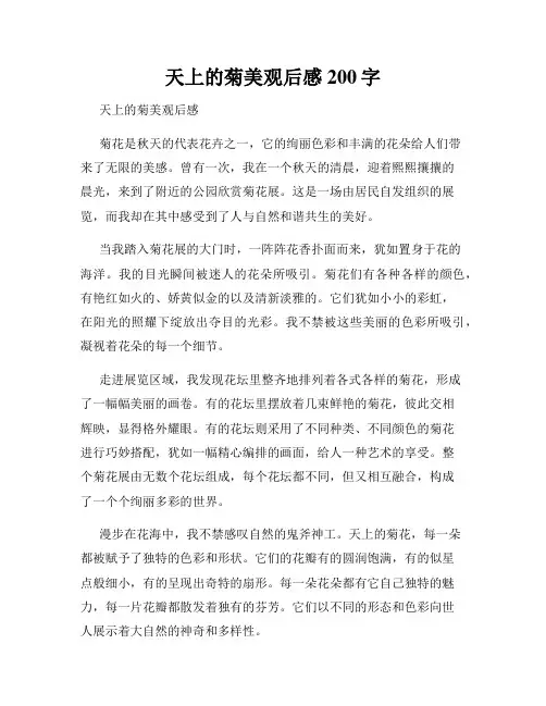 天上的菊美观后感200字