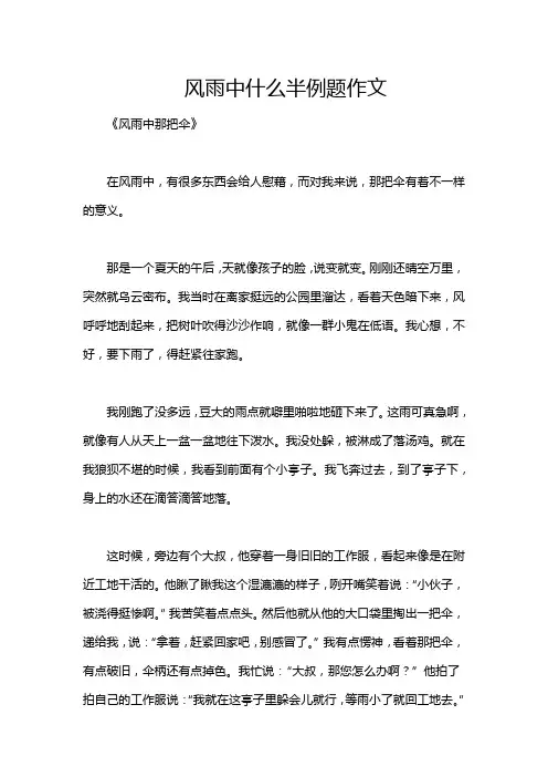 风雨中什么半例题作文