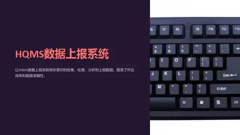《HQMS数据上报系统》课件