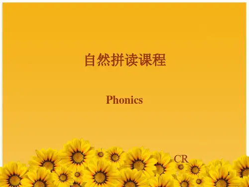 【通用版】小升初英语复习：语音-英语字母自然拼读课件