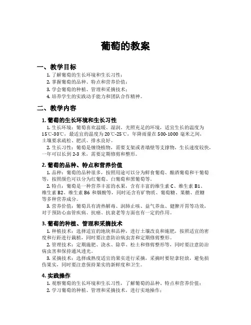 葡萄的教案
