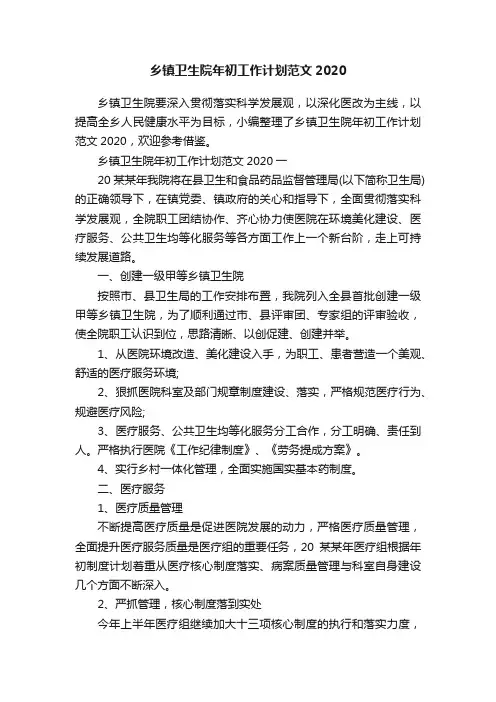 乡镇卫生院年初工作计划范文2020