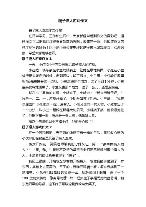 瞎子摸人游戏作文（5篇）