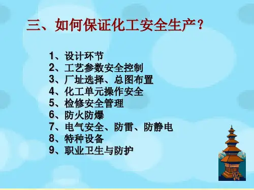 化工安全生产技术讲座2010-2