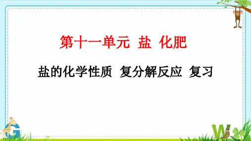 盐的化学性质复分解反应复习课件-九年级化学人教版下册