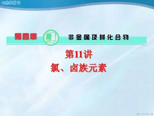 2013高考化学总复习(第1轮)广东专版课件：氯、卤族元素(精)