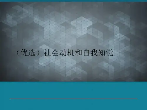 (优选)社会动机和自我知觉