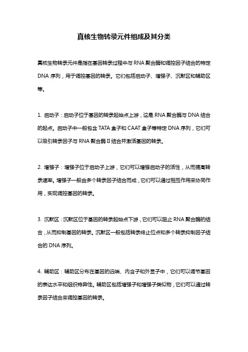 真核生物转录元件组成及其分类