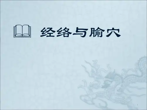 经络腧穴总论ppt课件