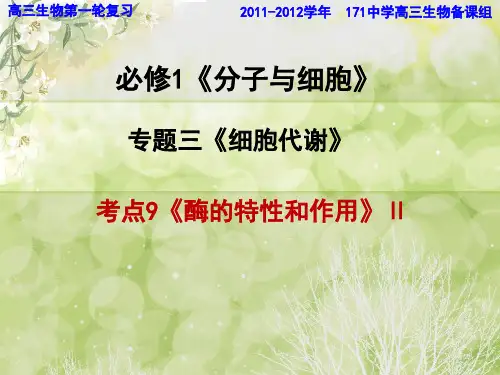 酶的特性与作用
