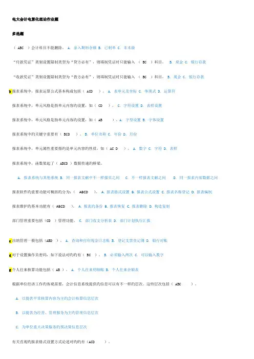 2023年电大会计电算化理论题