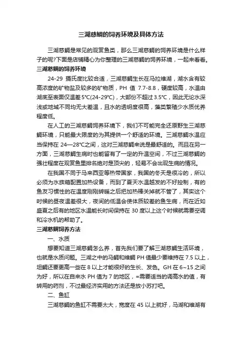 三湖慈鲷的饲养环境及具体方法