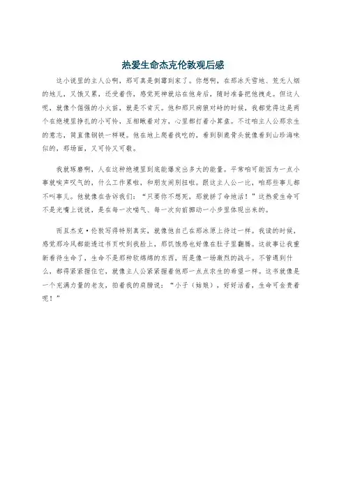 热爱生命杰克伦敦观后感
