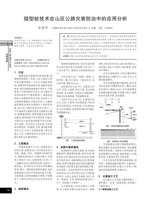 微型桩技术在山区公路灾害防治中的应用分析