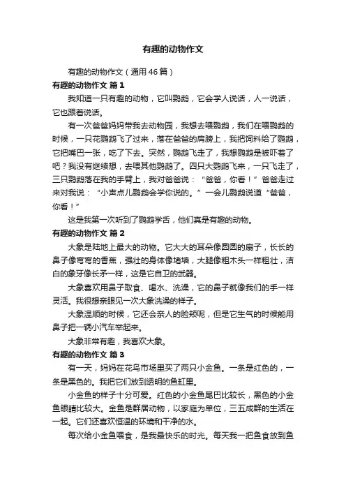 有趣的动物作文