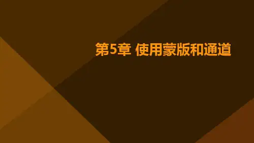 《PhotoshopCC图像处理立体化教程第章使用蒙版和通道