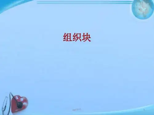 s7-300组织块  ppt课件
