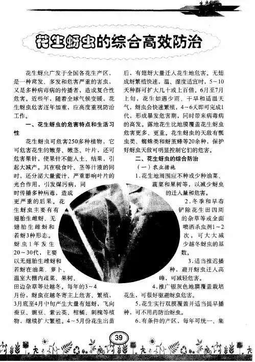 花生蚜虫的综合高效防治