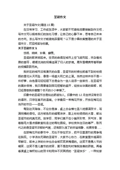 关于圣诞作文（精选15篇）
