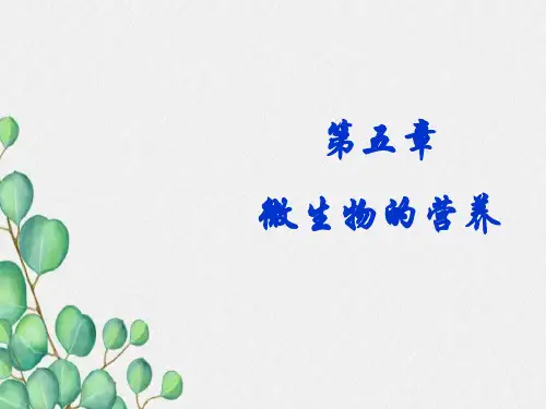 异养型微生物