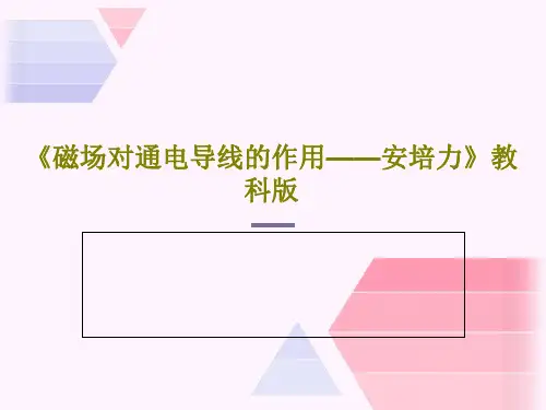 《磁场对通电导线的作用——安培力》教科版41页PPT