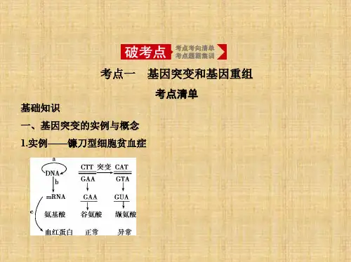 2020年高考北京版高考生物 专题14 变异和育种