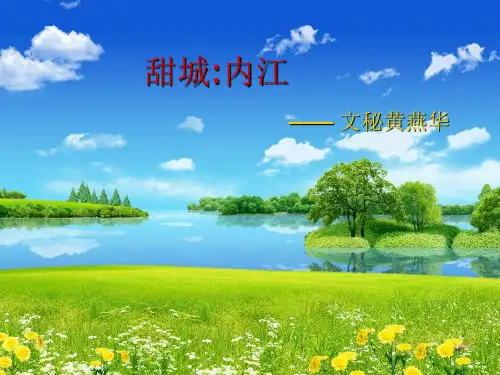 内江简介PPT
