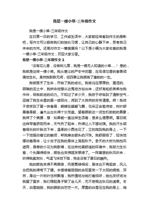 我是一棵小草-三年级作文