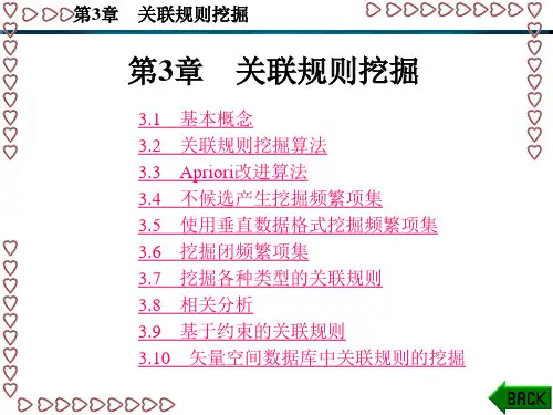 数据挖掘原理 算法及应用第3章 关联规则挖掘