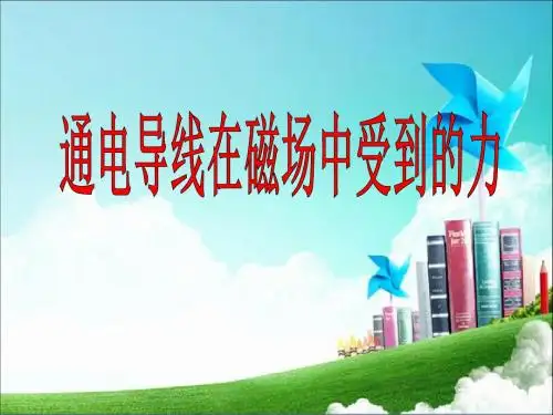 通电导线在磁场中受到的力课件共13张PPT(杨高轩)