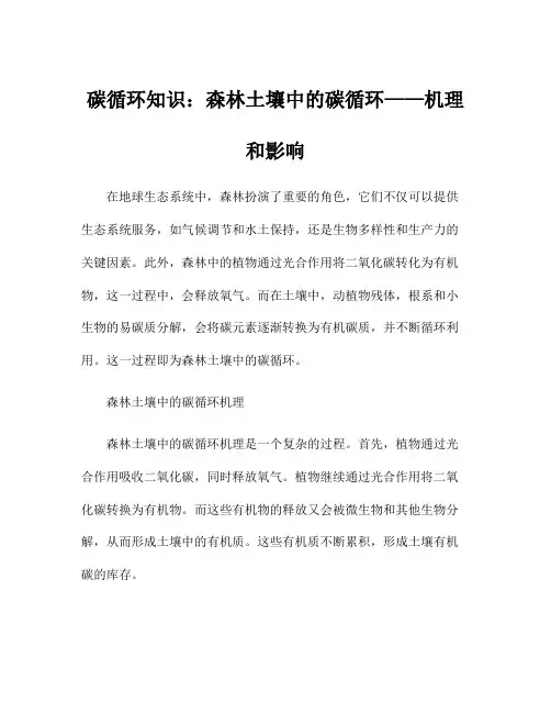 碳循环知识：森林土壤中的碳循环——机理和影响