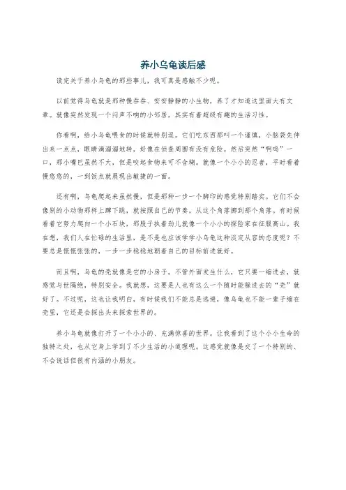 养小乌龟读后感