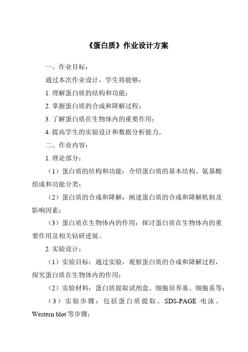 《蛋白质作业设计方案》