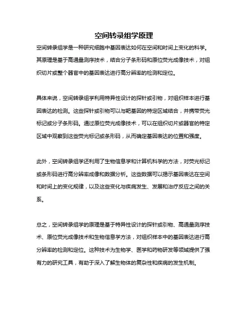 空间转录组学原理