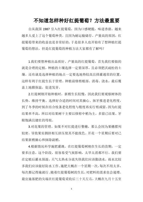 不知道怎样种好红提葡萄？方法最重要